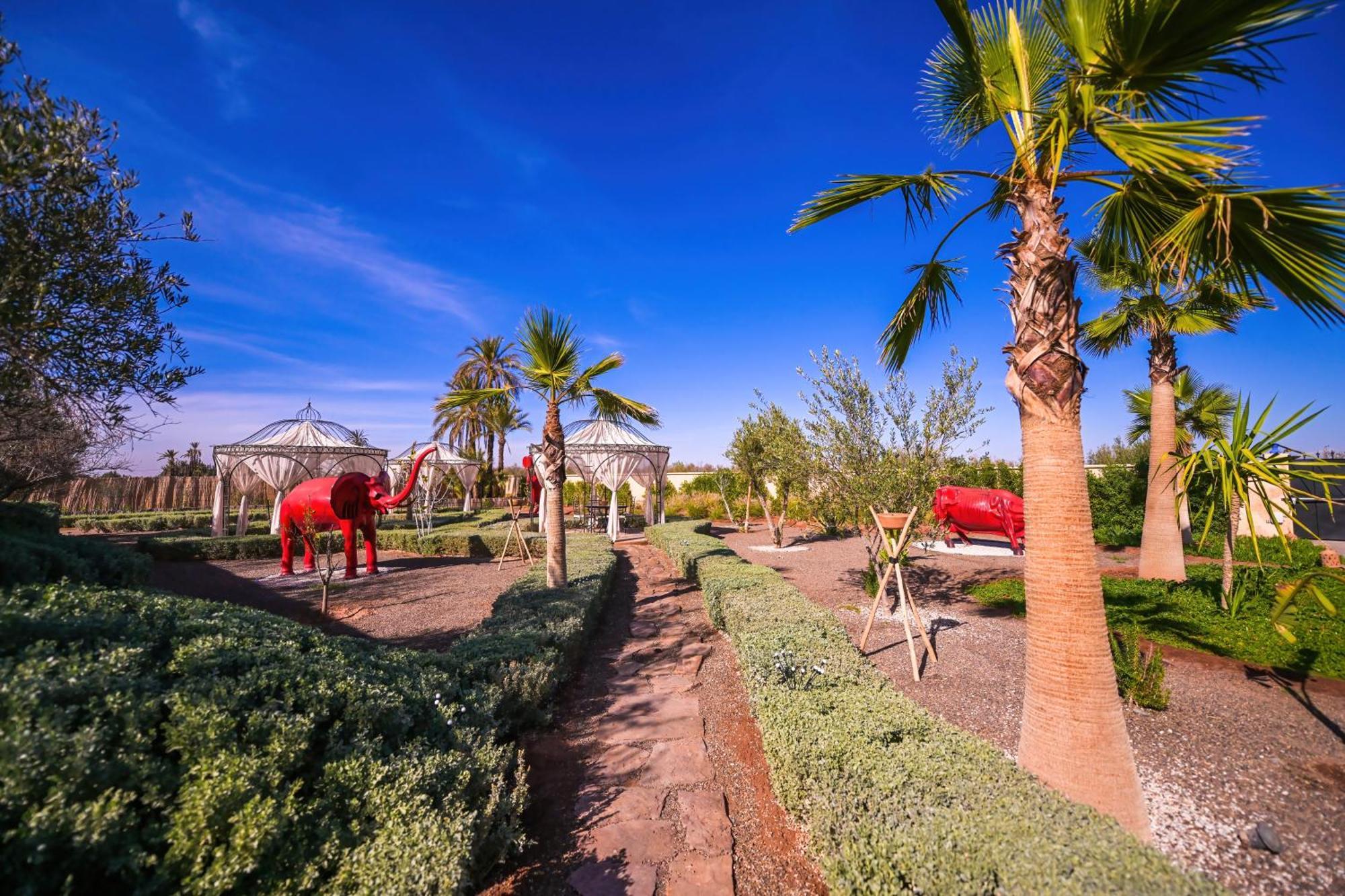 Maison Daouia Ouled Jelal Dış mekan fotoğraf